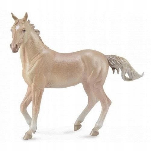 AKHAL-TEKE STALLION PERLINO, COLLECTA