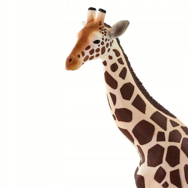 GIRAFFE - Giraffe - Safari Ltd. - 100421