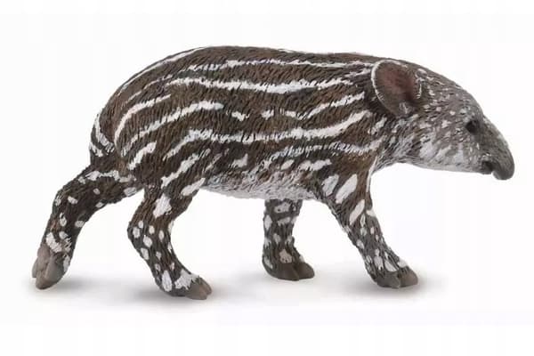 Baird’s tapir.