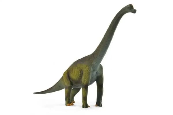 Brachiosaurus L dinosaur