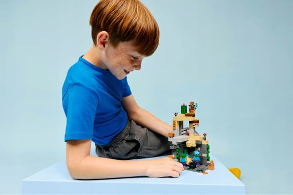 LEGO Minecraft 21587 Zombie Dungeon, bricks