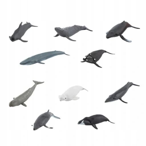 10 Realistic Animal Models: Arctic Animals
