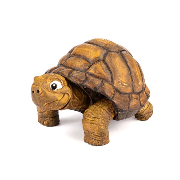 Turtle | 3D pop-up colouring book + paints and a paintbrush