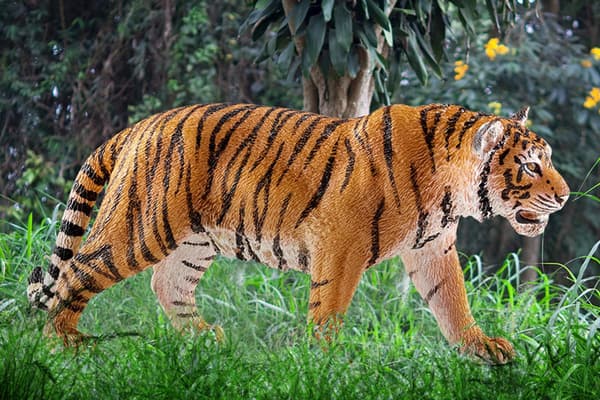 TIGER SLH14729 (FIGURINE)