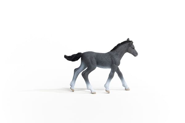 A THRAKEN FOAL