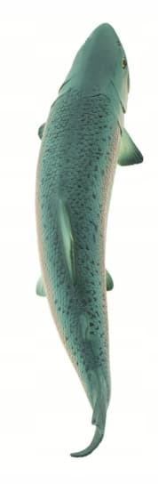 Safari Ltd – Salmon Figure – 100205