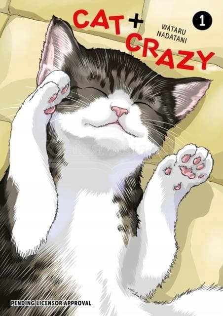 Cat + Crazy Volume 1 by Wataru Nadatani