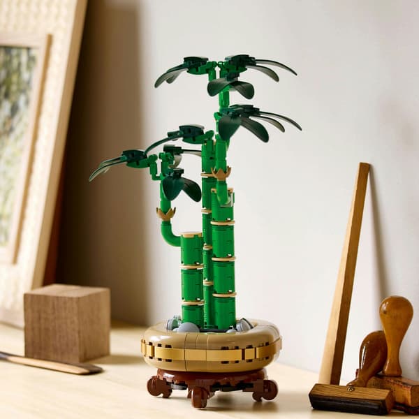 LEGO Botanicals Dracaena sanderi 10344
