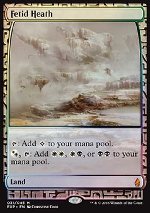 Magic: The Gathering Fetid Heath