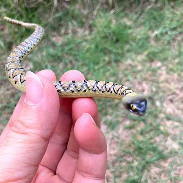2 PCS. DECORATIVE PVC SNAKE FIGURINE, DURABLE AND REALISTIC