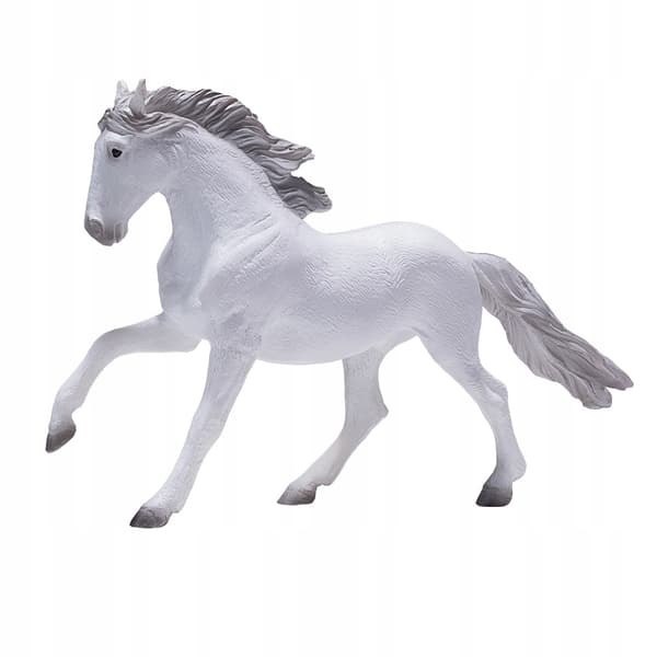 Mojo, a white Lusitano horse