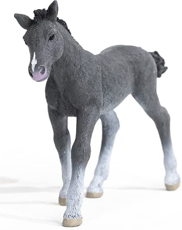 A THRAKEN FOAL