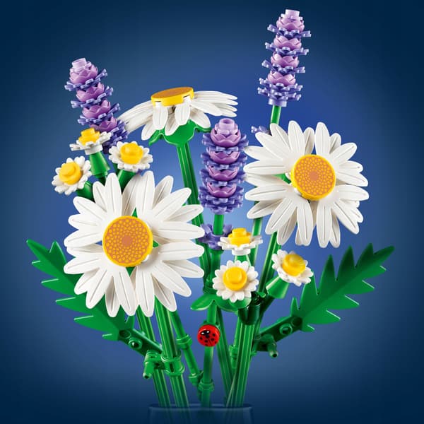 LEGO Botanicals Daisies 11508