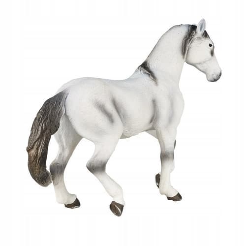 Mojo, a grey Andalusian horse
