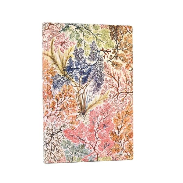 Paperblanks Anemone Midi Lined Notebook