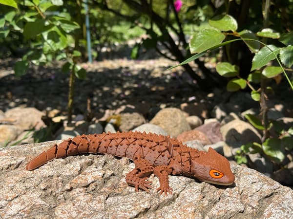 3D Crocodile Skink – lizard, segmented figurine, terrarium decoration