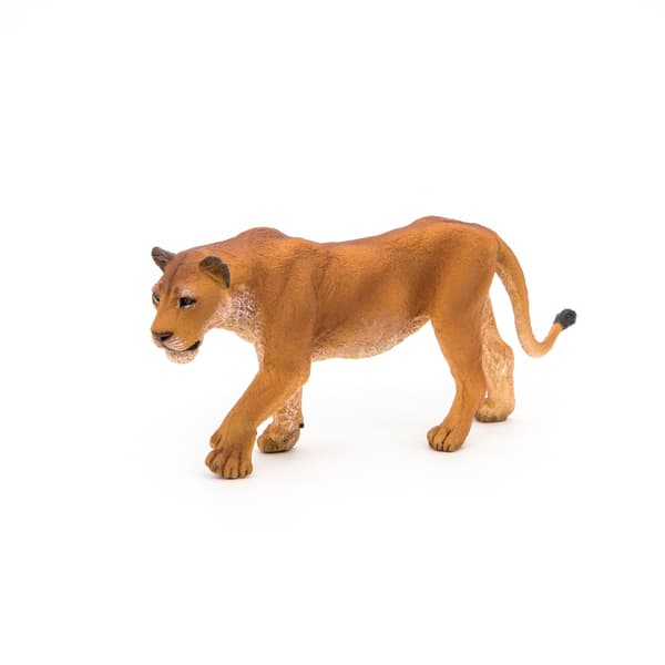 LIONESS - PAPO - 50028
