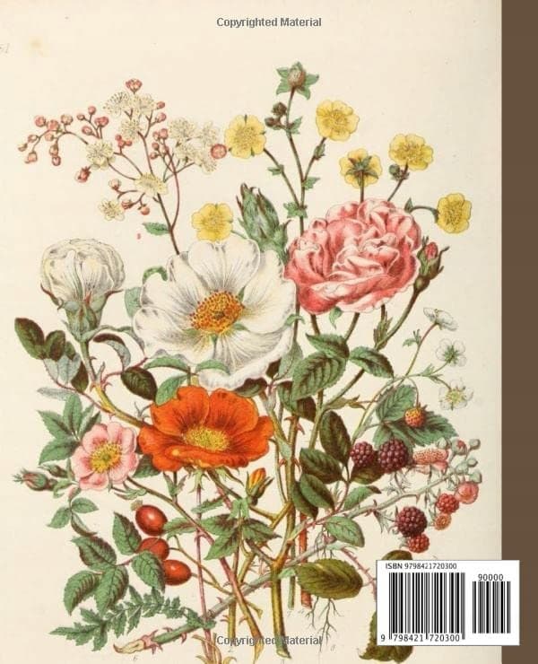 Composition Notebook: Beautiful Vintage Flower Composition Notebook Illustration