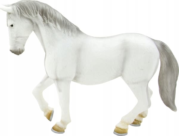 Mojo, a Lipizzaner mare