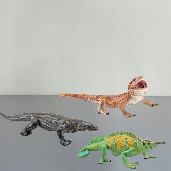 3x Lizard Set Display props Collectables Home desk decorations
