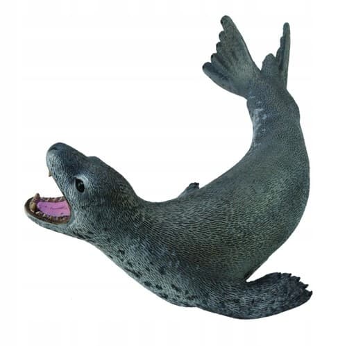 Sea leopard L .