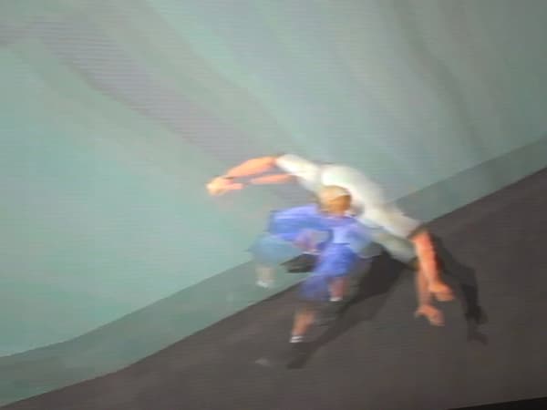 TONY HAWK'S PRO SKATER 3 PSX – DISC ONLY – PLEASE READ THE DESCRIPTION!