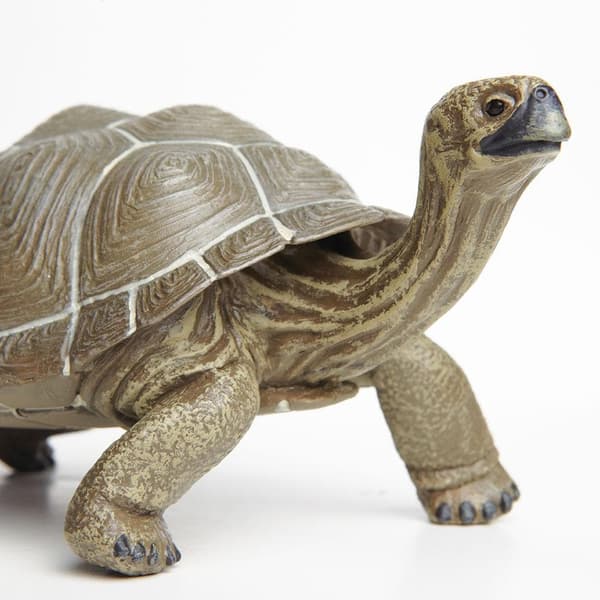 TURTLE - Tortoise - Safari Ltd. - 260729