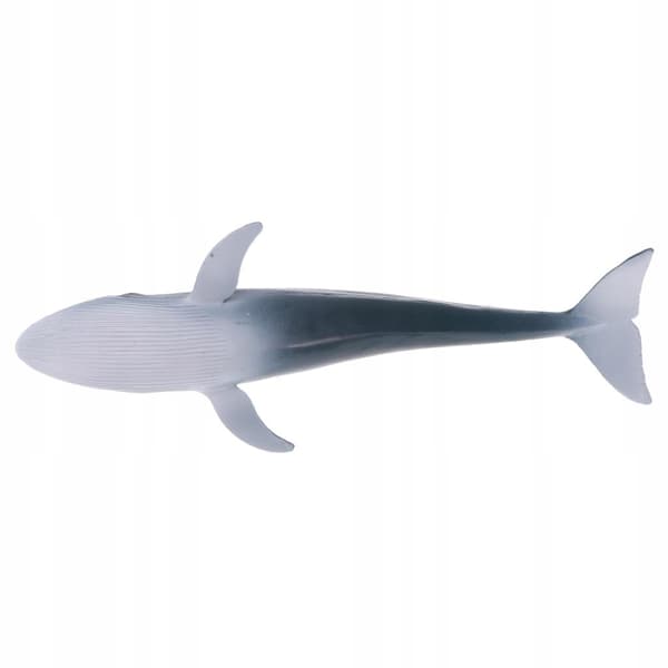 Realistic animal whale models Action figures Children