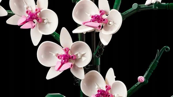 10311 - LEGO Icons - Orchid