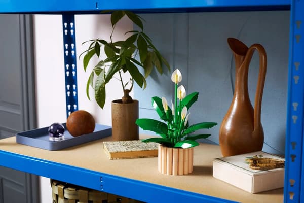 LEGO Botanical 11504 Peace Lily in a Pot