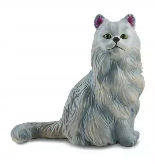 A Persian cat sitting down.