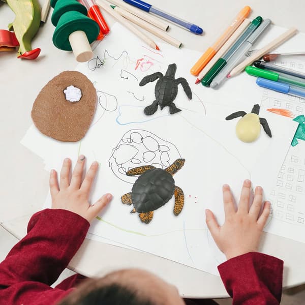 EDUCATIONAL SET OF SEA TURTLE MODELS FOR DECORATION