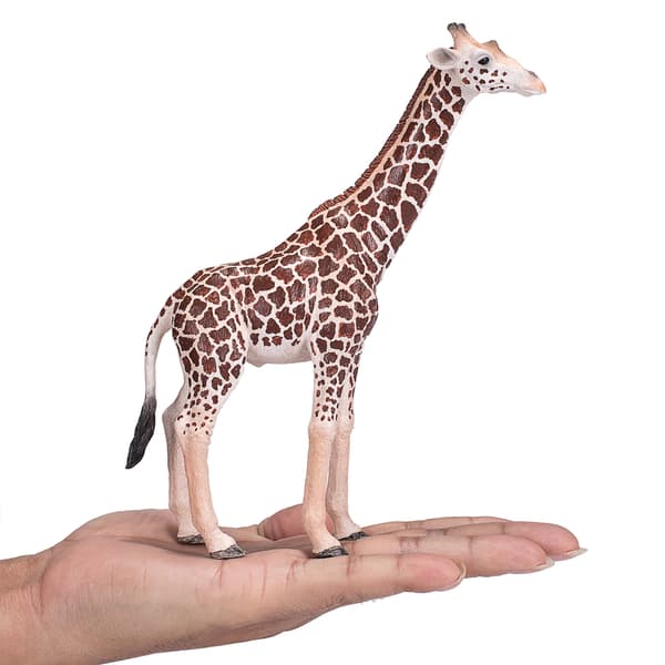 Mojo the male giraffe