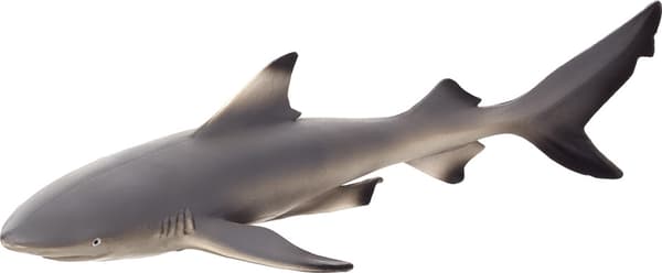 Mojo Blackfin Shark