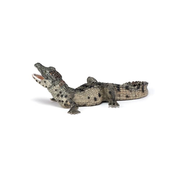 YOUNG CROCODILE [FIGURINE]