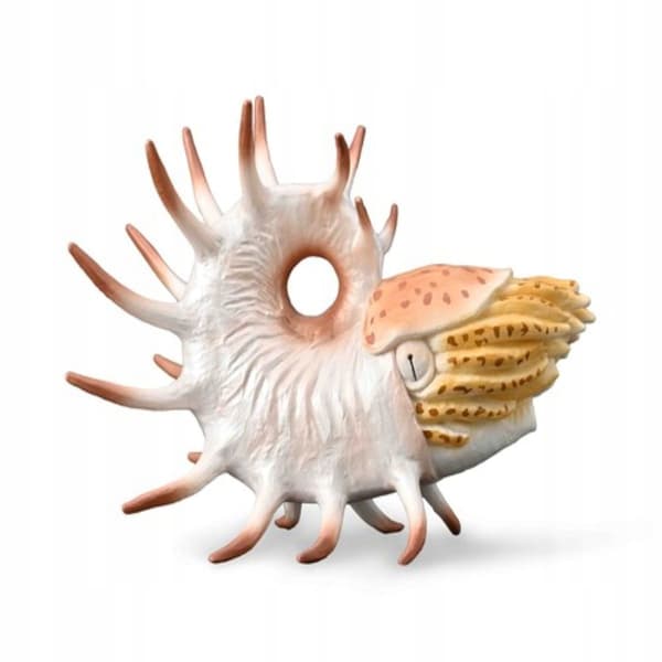 [FOR CHILDREN] COOPEROCERAS