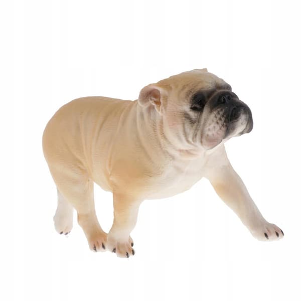 Simulation Pets Animal model Figurine Educational toy Decoration 1