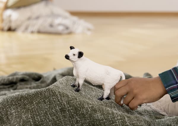 GALLOWAY COW (FIGURINE)
