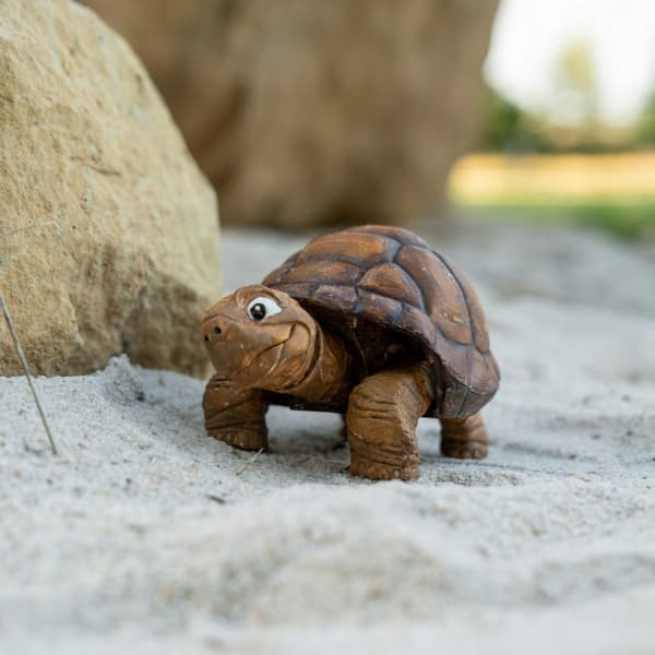 Turtle | 3D pop-up colouring book + paints and a paintbrush