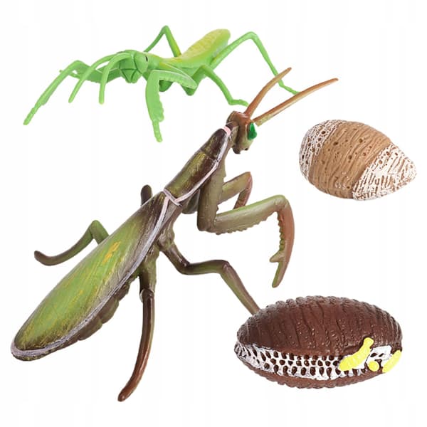 Animals Simulation Life cycle Life Action figures Figure