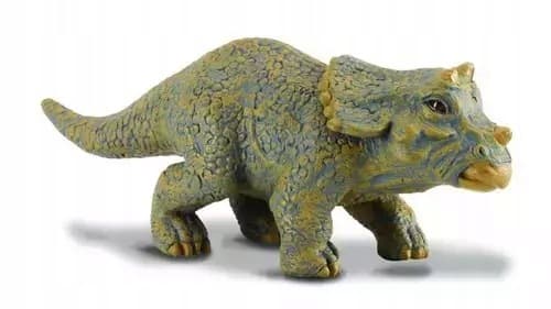 A young Triceratops dinosaur.