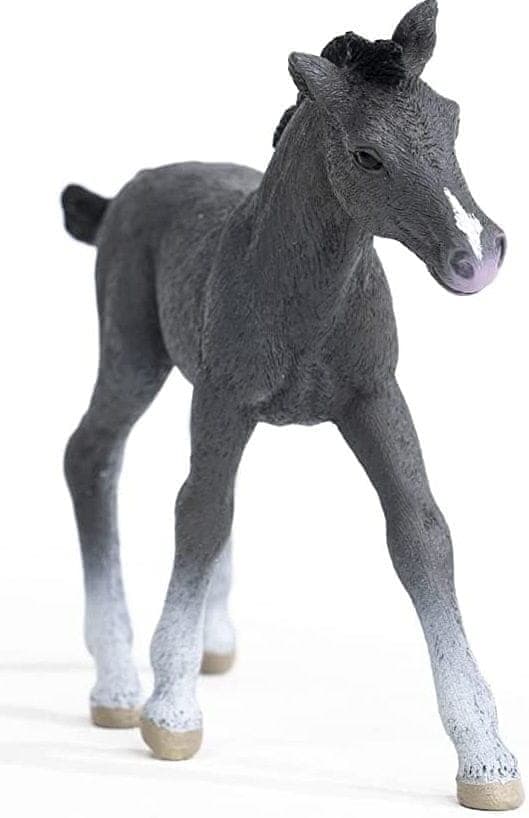 A THRAKEN FOAL