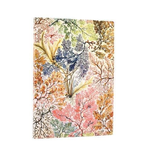 Paperblanks Anemone Midi Lined Notebook