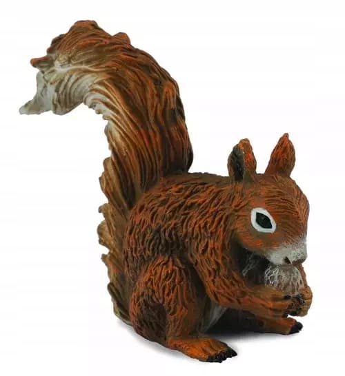 A red squirrel eating.