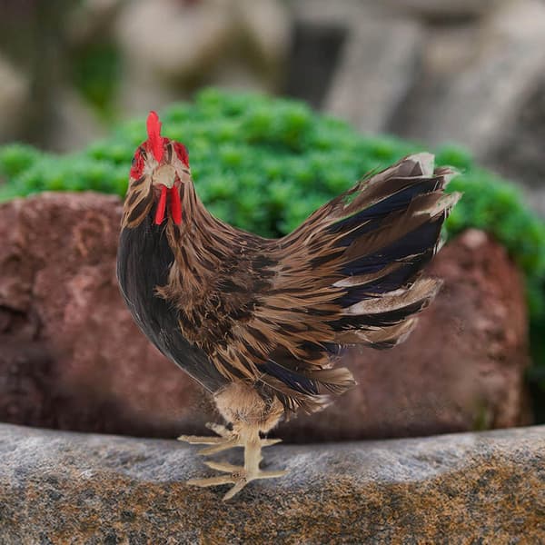 Feather Chicken Miniatures – Model Statue – Simulated Sculpture – Christmas