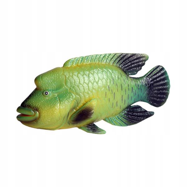 DURABLE PLASTIC MODEL OF A GREEN NAPOLEON FISH
