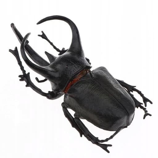 3x Lifelike Beetle Figures – Insects