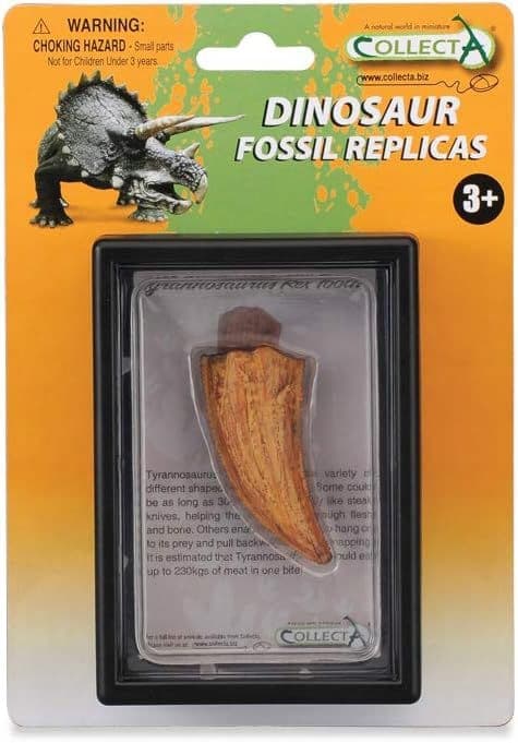 TYRANNOSAURUS RED TOOTH