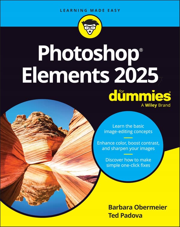 Photoshop Elements 2025 For Dummies by Barbara Obermeier