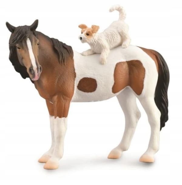 MARE & TERRIER